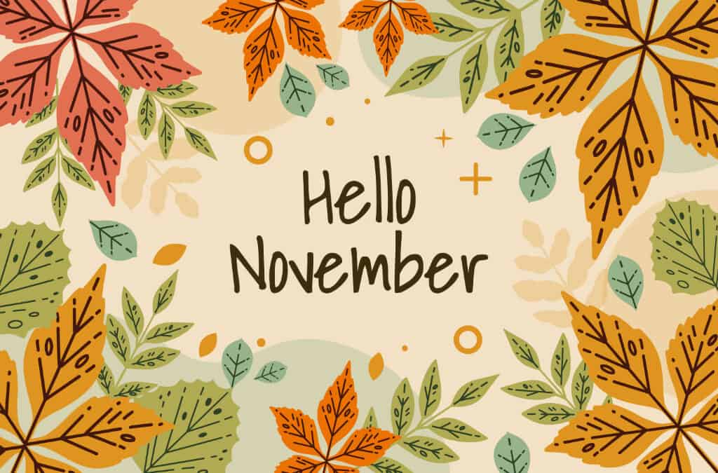 November Blog